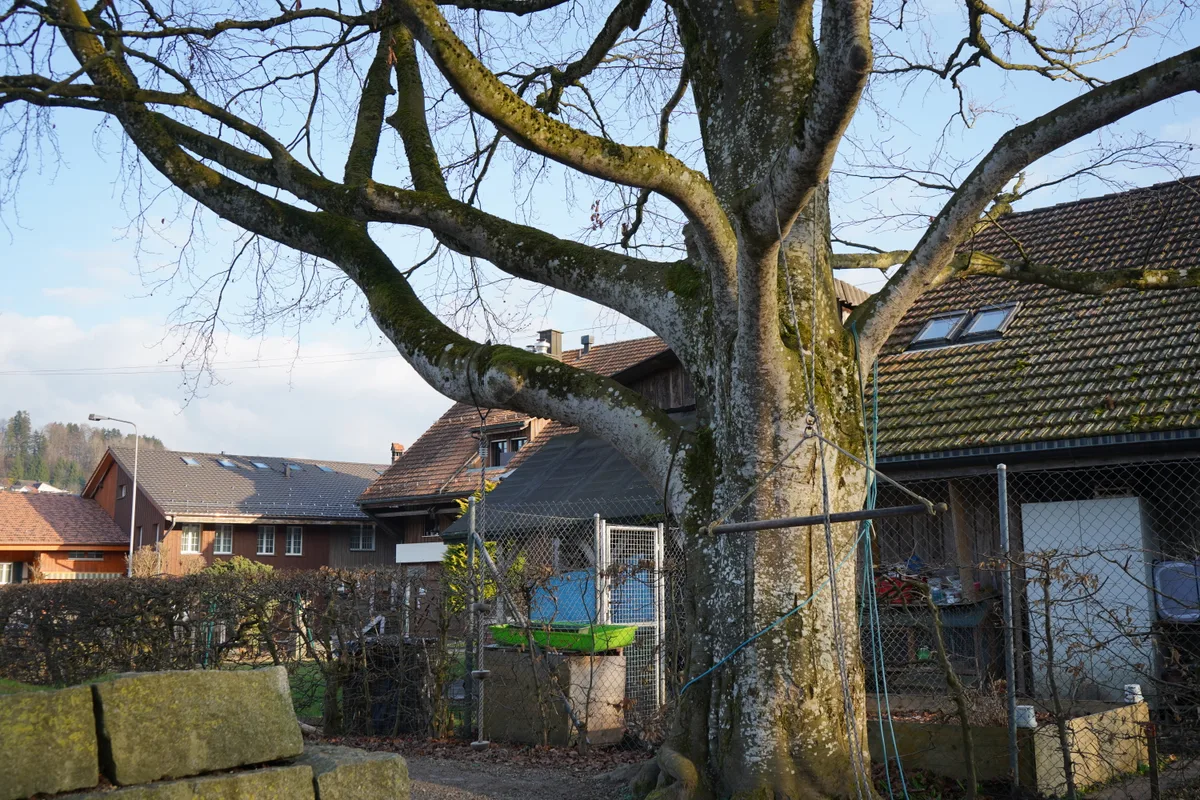 Weisslingen will drei Kindergärten und ein altes Schulhaus verkaufen. Hier der Kindergarten Hintergasse.